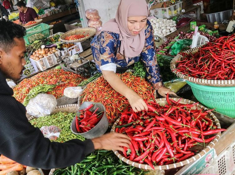 Harga Cabai Makin Pedas, di Palangka Raya Tembus Rp 100 Ribu/Kg