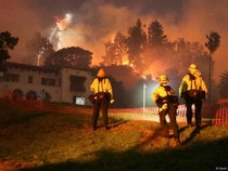 Kebakaran Hutan Makin Sering, Seberapa Terancam Kota Besar?