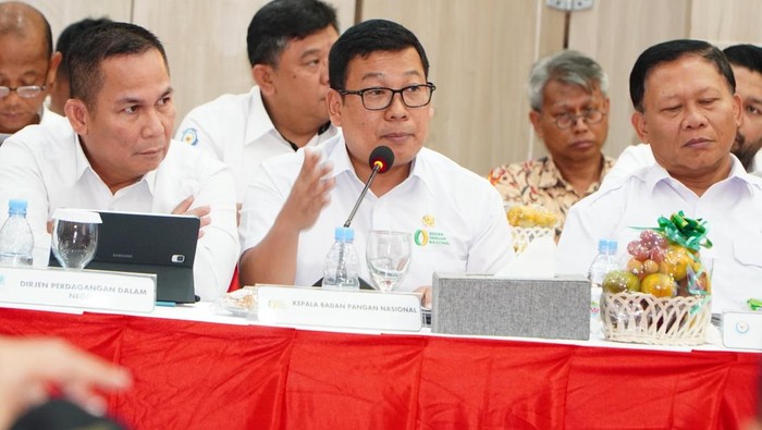 Kepala Bapanas Arief Prasetyo.