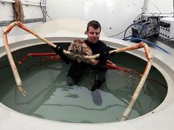 Kumpulan Hewan Aneh dan Langka yang Mungkin Kalian Belum Tahu