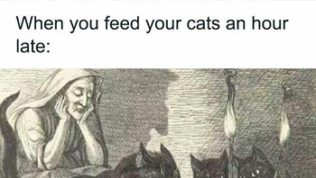 Kucingmu, majikanmu. Foto: Classical AF Instagram via Bored Panda