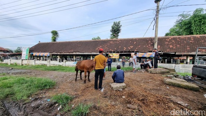 pasar hewan ponorogo