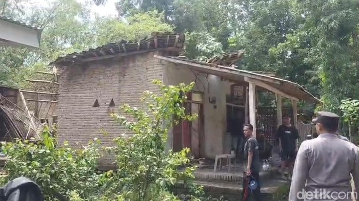 pohon tumbang timpa rumah warga probolinggo