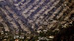 Potret Kehancuran Los Angeles Akibat Kebakaran Hutan