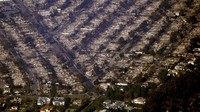 Gubernur Gavin Newsom dalam sebuah unggahan media sosial pada Kamis malam mengatakan 900 petugas pemadam kebakaran tambahan kini dikerahkan untuk memerangi Kebakaran Kenneth yang bergerak cepat di dekat West Hills dan Calabasas. AP/Mark J. Terrill