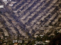 Kebakaran Los Angeles karena Apa? Perubahan Iklim Dinilai Berperan