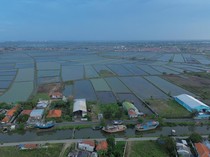 Potret Tambak Mati yang Mau Disulap Jadi Pabrik