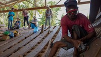 Puluhan turis dari berbagai negara tersebut datang untuk mengenal lebih dekat warisan budaya maritim Indonesia yang telah diakui UNESCO sebagai warisan budaya takbenda. 