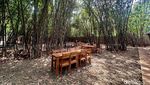 Gule Entok dan Lodeh Terong Enak di Kampung Pohon Bambu