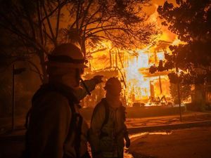 Ilmuwan NASA Bicara Penyebab Kebakaran Hutan Los Angeles