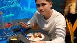 Ini Momen Athalla Naufal Makan Sushi hingga Steak di Restoran