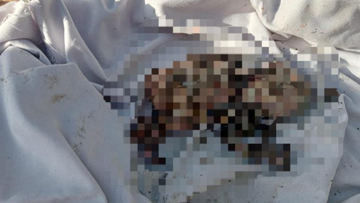 Bayi dengan kondisi kepala terpisah dengan badan di Palembang.