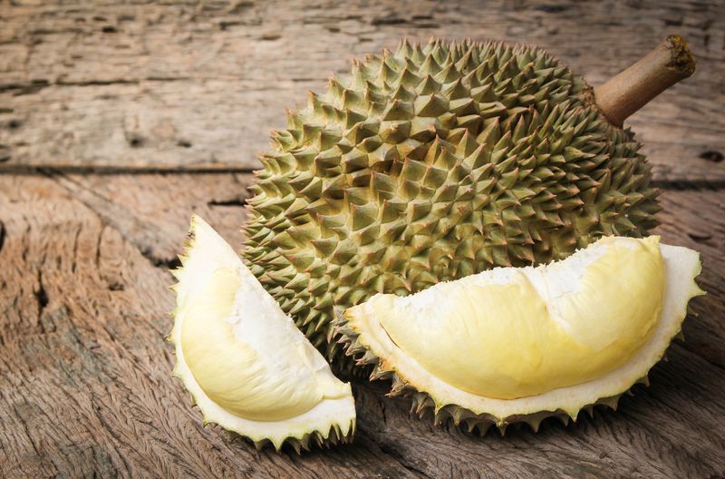 Ilustrasi durian tai babi