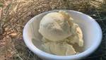 10 Es Krim Rasa Unik dan Nyeleneh, Mau Coba?