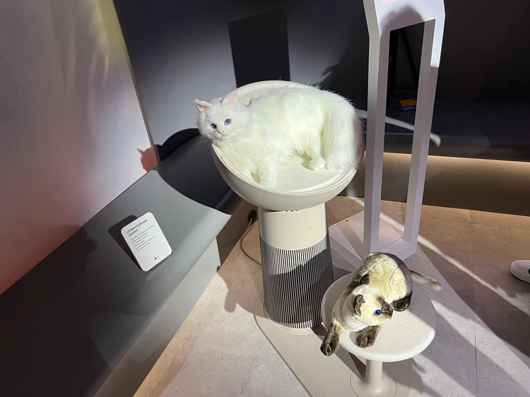 Gadget unik di CES 2025 Gadget unik di CES 2025