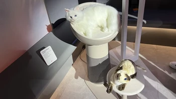 Perangkat home appliance juga bisa dibuat menggemaskan. Seperti penjernih udara LG AeroCat Tower yang merangkap sebagai tempat tidur dengan penghangat untuk kucing. Menariknya, cat tower ini juga bisa memonitor berat badan dan kesehatan kucing. Foto: Mashable