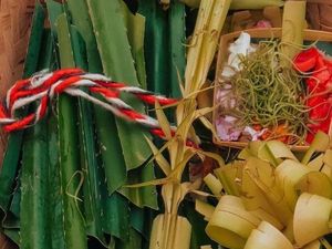 Tradisi Memasang Seselat di Rumah Warga Bali Menjelang Tumpek Wayang