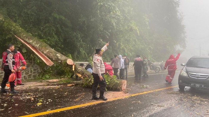 Pembersihan material pohon tumbang di jalur Medan-Karo