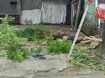 Karyawan Toko di Makassar Tersengat Listrik Saat Disuruh Bos Pangkas Pohon