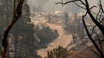 Luluh Lantak Pesisir California Akibat Kebakaran Hutan