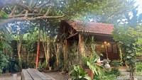 Area bersantap di sini luas, bisa dipilih sesuai selera. Namun secara keseluruhan, kesan tradisonalnya kuat hingga membuat pengunjung serasa main ke rumah kakek-nenek di kampung.