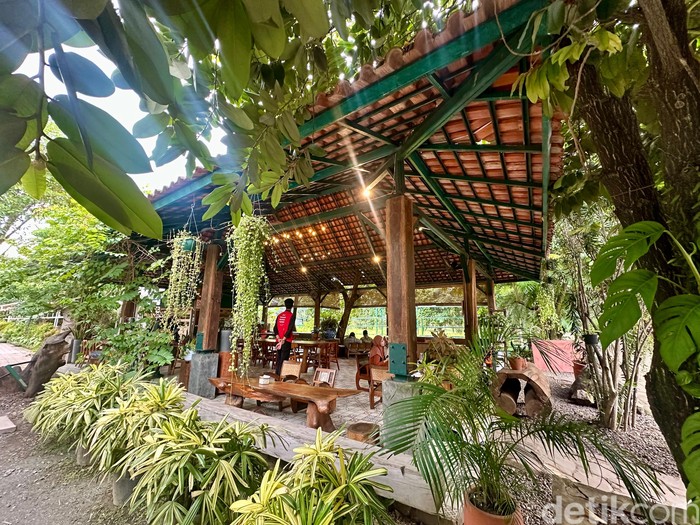Makan Bawah Pohon