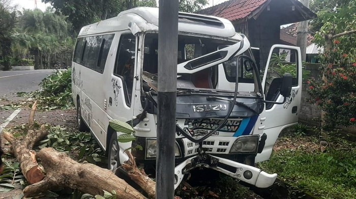 Kondisi minibus yang menabrak pohon di jalan Denpasar-Gilimanuk, Sabtu (11/1/2025).