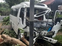 Minibus Tabrak Pohon di Jalan Denpasar-Gilimanuk, Empat Penumpang Terluka