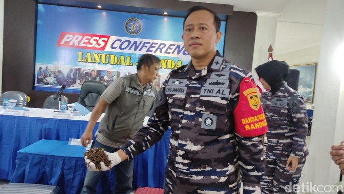 Penyelundupan kalajengking kering