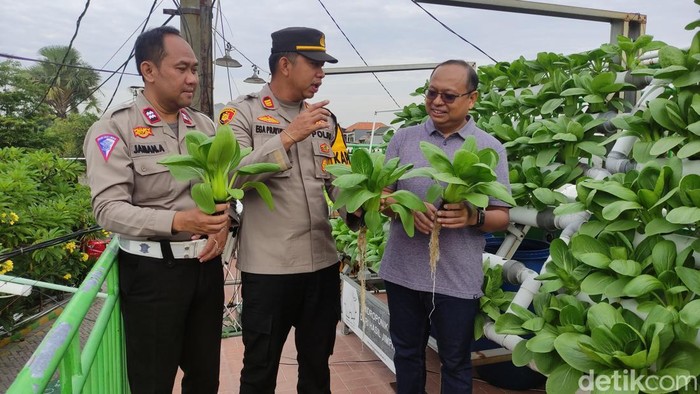 Polsek Sidoarjo hidroponik