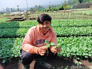 Iki dan Perjuangan Mewarisi Mimpi sang Ayah Jadi Petani