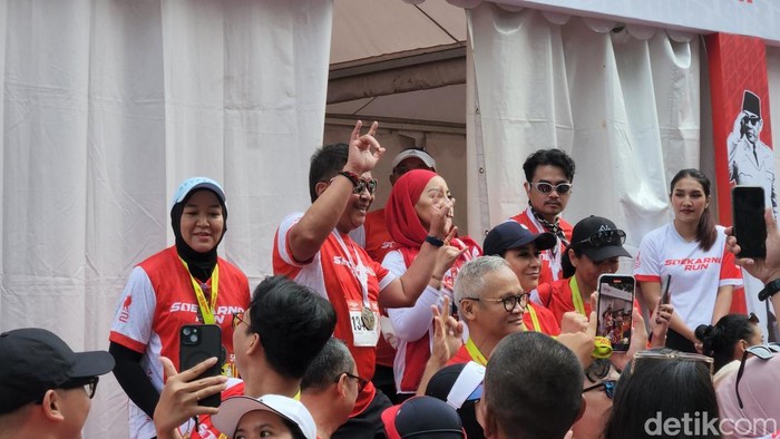 Hasto Kristiyanto. (Adrial Akbar/detikcom).