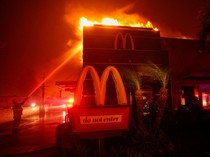 Selain Tragedi Los Angeles, Ini 5 Kebakaran Hutan Terbesar dalam Sejarah AS