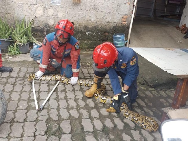 Terungkap Lebih Banyak Laporan Selain Kebakaran Diterima Damkar Jakarta