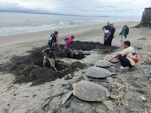 Lima dari 29 Ekor Penyu Selundupan di Bali Mati karena Dehidrasi