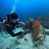 Prilly juga menikmati keindahan di bawah laut dengan menyelam. Rupanya saat berada di sana Prilly juga menjadi underwater videographer untuk salah satu projek yang digarapnya. Foto: Instagram/@prillylatuconsina96