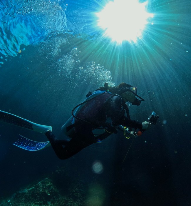 Dalam keterangan unggahannya Prilly juga mengaku senang karena bisa melihat langsung kehidupan bawah laut Kaimana yang begitu indah. Foto: Instagram/@prillylatuconsina96
