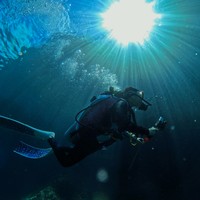 Dalam keterangan unggahannya Prilly juga mengaku senang karena bisa melihat langsung kehidupan bawah laut Kaimana yang begitu indah. Foto: Instagram/@prillylatuconsina96