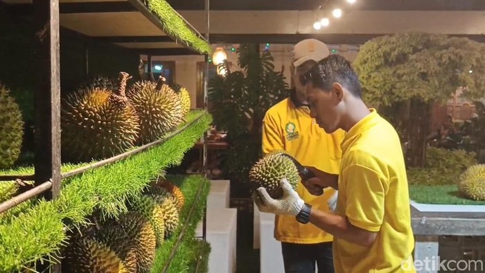 Ragam durian yang tersaji di Saburai Durian and Resto Lampung.