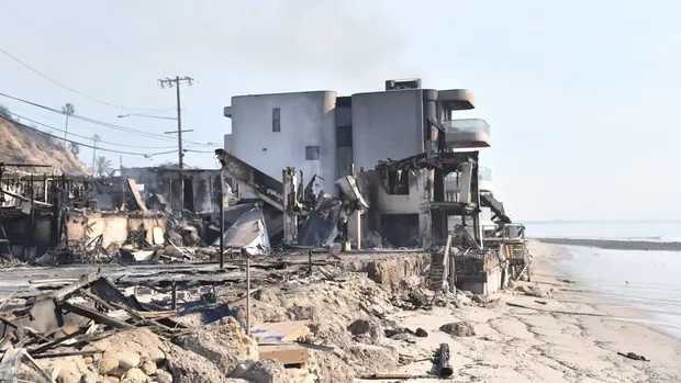 Rumah David Steiner yang selamat dari kebakaran di Los Angeles