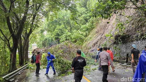 Satu rumpun bambu longsor tutup akses jalan utama Klungkung-Gianyar di Tusan, Banjarangkan Klungkung, Minggu (12/1/2025). (Putu Krista/detikBali)