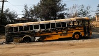 Tidak hanya mobil, bus sekolah juga jadi korban ganasnya amukan api. Reuters/Fred Greaves.