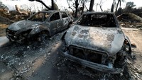 Dua unit mobil gosong usai terbakar di Altadena, California, Amerika Serikat. Reuters/Mario Anzuoni.