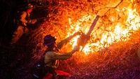 Pihak berwenang mengatakan jumlah korban tewas dalam kebakaran yang melanda kota Los Angeles, AS, bertambah menjadi 24. Data itu dihimpun per Minggu (12/1/2025).