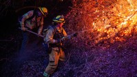 Sejumlah petugas pemadam kebakaran berusaha memadamkan api yang membakar hutan di Los Angeles, Minggu (12/1/2025) waktu setempat.