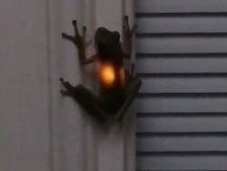 Deretan Fenomena Ilmiah yang Mencengangkan