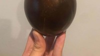 Ini bukan telur, tapi kelapa yang digosok-gosok (Foto: Boredpanda)