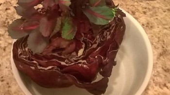 Saat kubis terlalu lama disimpan dalam kulkas. Foto: Boredpanda  