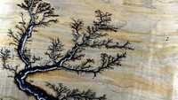Pola cantik yang tercipta dari kilatan petir yang merambat di kayu (Foto: Boredpanda)