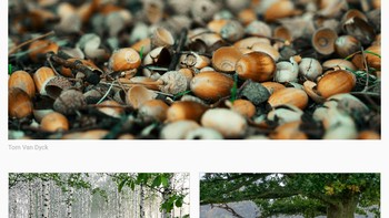 Teka-teki visual kedelapan. Foto: (Bored Panda).